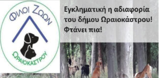 Φίλοι ζώων Ωραιοκάστρου: Εγκληματική η αδιαφορία του δήμου Ωραιοκάστρου! Φτάνει πια!