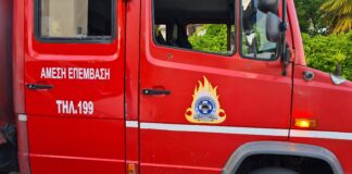 Ενημέρωση απο την Π.Υ. για τις δασικές πυρκαγιές