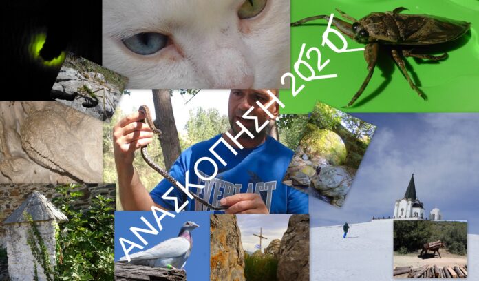 ΑΝΑΣΚΟΠΗΣΗ 2020