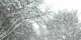 Οδηγίες προετοιμασίας ενόψει της κακοκαιρίας