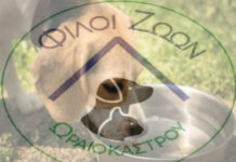 Η “ώρα της κρίσης” για την Φιλοζωική Ωραιοκάστρου – Έρχονται εκλογές, αναμένουμε συμμετοχές