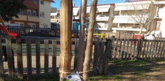 Στον δήμο Παύλου Μελά οι πολίτες υιοθετούν δέντρα και πάρκα