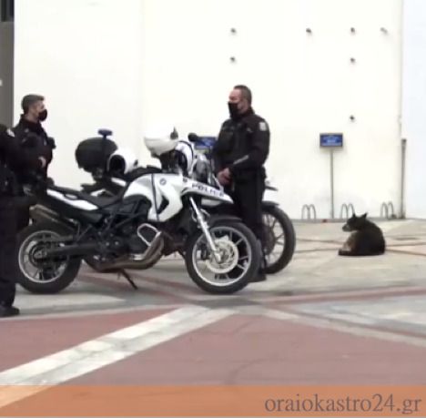 αστυνομια κορονοιος