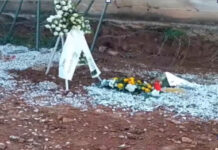 Εικόνες φρίκης και ασέβειας νεκρών στα κοιμητήρια Δρυμού Ωραιοκάστρου, βίντεο