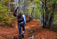 Τσουχτερό πρόστιμο 5.000 ευρώ για διοργάνωση πεζοπορίας – Τι λέει ο πρόεδρος του ΣΔΥ Βόλου