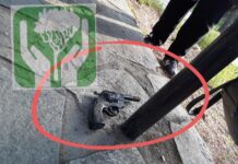Θεσσαλονίκη: Βρέθηκε όπλο με σφαίρες στο Άλσος Μετεώρων – Το βρήκαν παιδιά
