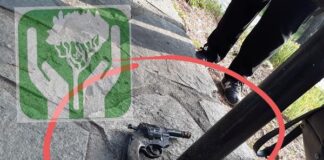 Θεσσαλονίκη: Βρέθηκε όπλο με σφαίρες στο Άλσος Μετεώρων – Το βρήκαν παιδιά