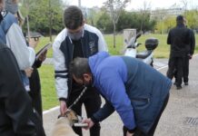 Θεσσαλονίκη: Έλεγχοι σε δεσποζόμενα ζώα συντροφιάς απο την αστυνομία