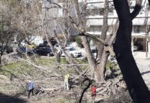 ΕΥΑΘ ΠΑΓΙΩΝ: Καθαρισμός του ρέματος Κωνσταντινίδη