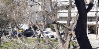 ΕΥΑΘ ΠΑΓΙΩΝ: Καθαρισμός του ρέματος Κωνσταντινίδη