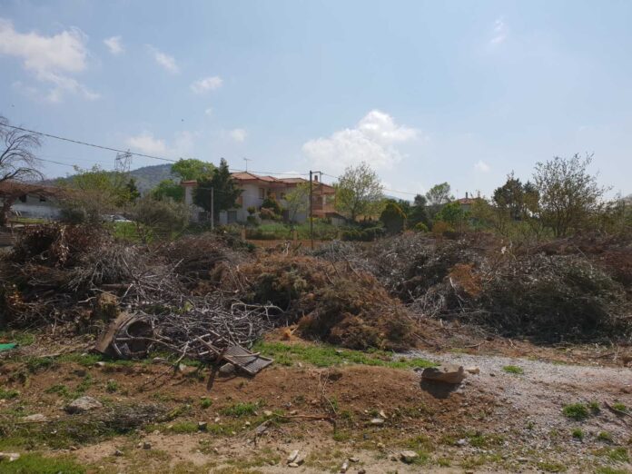 εικόνα_Viber_2021-04-25_12-18-34