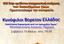 Θεσσαλονίκη: Συγκέντρωση διαμαρτυρίας κατά της στείρωσης των δεσποζόμενων