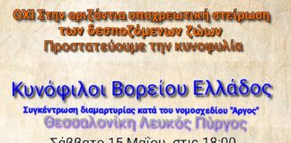 Θεσσαλονίκη: Συγκέντρωση διαμαρτυρίας κατά της στείρωσης των δεσποζόμενων