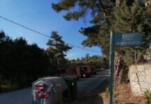 Ωραιόκαστρο: Φωτιά σε ξερά χόρτα κοντά σε σπίτια, βίντεο