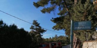Ωραιόκαστρο: Φωτιά σε ξερά χόρτα κοντά σε σπίτια, βίντεο