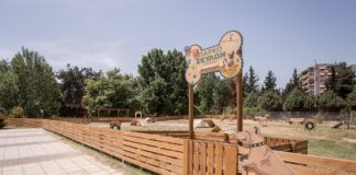Το πρώτο πάρκο σκύλων είναι γεγονός και είναι στην Πυλαία Θεσσαλονίκης