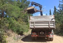 Δ.Ωραιοκάστρου: Απομακρύνονται από το δάσος τα κλαδιά που κόπηκαν από τα δέντρα λόγω του φλοιοφάγου