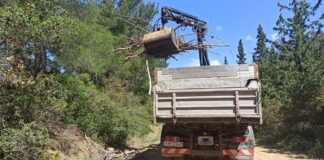 Δ.Ωραιοκάστρου: Απομακρύνονται από το δάσος τα κλαδιά που κόπηκαν από τα δέντρα λόγω του φλοιοφάγου