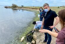 Θεσσαλονίκη: Νεκρά ψάρια και κηλίδες λιπαντικών – Σε διαρκή επιφυλακή η Αντιπεριφέρεια Ανάπτυξης και Περιβάλλοντος