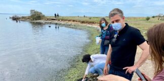 Θεσσαλονίκη: Νεκρά ψάρια και κηλίδες λιπαντικών – Σε διαρκή επιφυλακή η Αντιπεριφέρεια Ανάπτυξης και Περιβάλλοντος