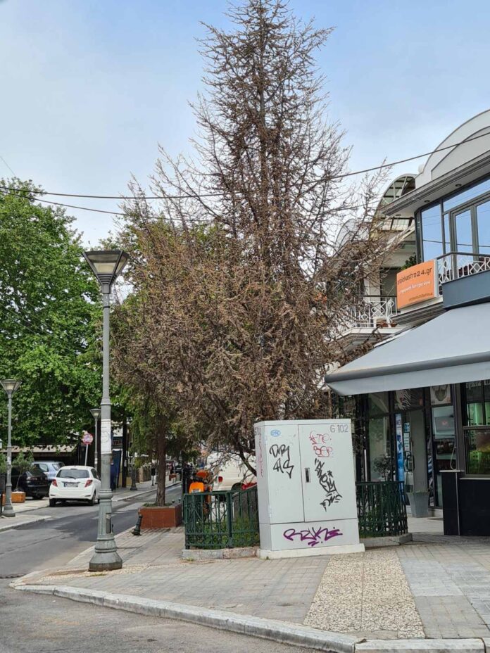 εικόνα_Viber_2021-05-07_10-31-55
