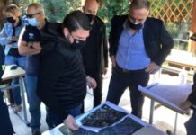 Χαρδαλιάς για Σέιχ Σου: «Η πολλή ανάλυση φέρνει παράλυση»
