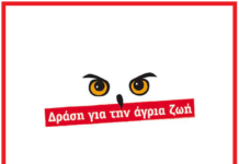 Δυο μέρες θα γιορτάσει το περιβάλλον η Δράση για την Άγρια Ζωή στη Θεσσαλονίκη