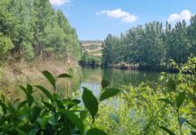 Απο το Ωραιόκαστρο έστειλε το μήνυμα του για το περιβάλλον ο Σ. Αναστασιάδης, βίντεο