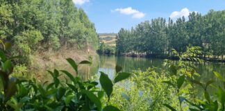Απο το Ωραιόκαστρο έστειλε το μήνυμα του για το περιβάλλον ο Σ. Αναστασιάδης, βίντεο