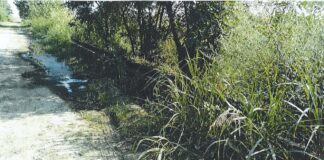 Θεσσαλονίκη: Σχηματισμός δικογραφίας σε βάρος 3 ατόμων για περιβαλλοντική ρύπανση