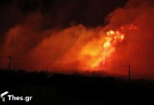 Θεσσαλονίκη: Μεγάλη μάχη με τις φλόγες στην Ευκαρπία – Ενισχύονται οι δυνάμεις,βίντεο