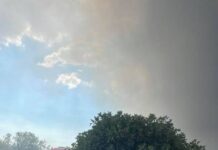Τώρα και άλλη φωτιά στο Ωραιόκαστρο, στη Νεοχωρούδα