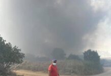 Ωραιόκαστρο: Φωτιά τώρα σε Πεντάλοφο και Πετρωτό, βίντεο
