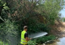 Σε εξέλιξη το πρόγραμμα καταπολέμησης κουνουπιών στο Δήμο Ωραιοκάστρου