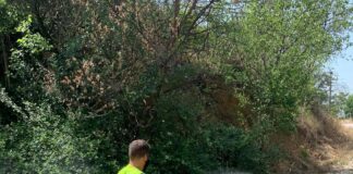 Σε εξέλιξη το πρόγραμμα καταπολέμησης κουνουπιών στο Δήμο Ωραιοκάστρου