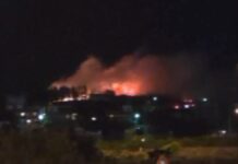 Φωτιά τώρα στην Ευκαρπία, βίντεο