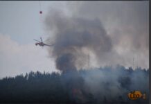 Καρέ-καρέ η μάχη με τις φλόγες στο Σέιχ Σου – Εντυπωσιακά ΒΙΝΤΕΟ