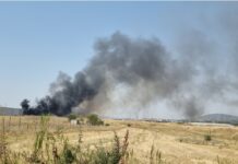 Φωτιά τώρα στη δυτική Θεσσαλονίκη στο Ωραιόκαστρο, βίντεο