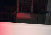 Αλεπού στον αστικό ιστό του Ωραιοκάστρου, βίντεο