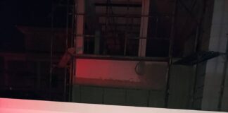Αλεπού στον αστικό ιστό του Ωραιοκάστρου, βίντεο