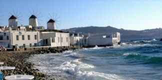 Παγώνη: Θα έχουμε κι άλλες «Μυκόνους» χωρίς αυστηρούς ελέγχους