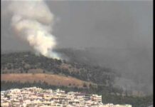 Σε δέκα χρόνια η επαναφορά της δασικής βλάστησης στα καμένα του Σέιχ Σου