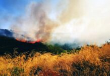 Υψηλός κίνδυνος πυρκαγιάς σήμερα σε Θεσσαλονίκη και Χαλκιδική