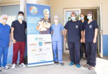 Εθελοντές κτηνίατροι στείρωσαν και εμβολίασαν αδέσποτα ζώα