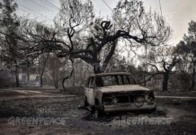 Οδοιπορικό στην καμένη Εύβοια, βίντεο