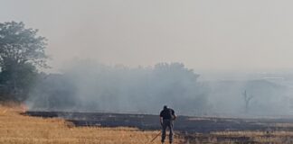 Ωραιόκαστρο: Δυο πυρκαγιές σήμερα