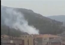 Θεσσαλονίκη: Φωτιά στην Ευκαρπία, βίντεο