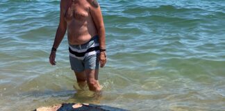 Τεράστια χελώνα νεκρή ξεβράστηκε στην Ασπροβάλτα
