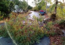 Καταστροφές από το χθεσινό μπουρίνι σε Πρέβεζα, Θεσπρωτία, Άρτα, Tρίκαλα – Έρευνες για αγνοούμενο ψαρά σε Αμφιλοχία