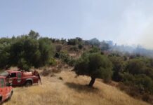Χαλκιδική: “Καμπάνες” από την Π.Υ. – Ασυνείδητοι παίζουν με τη φωτιά
